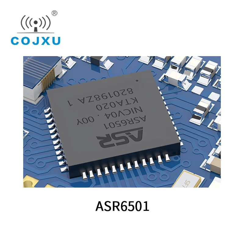 LoRaWAN 868MHz 915MHz SX1262 ASR6501 LoRa TCXO Spread Spectrum Module E78 900M22S Llong Distance Communication Low 3