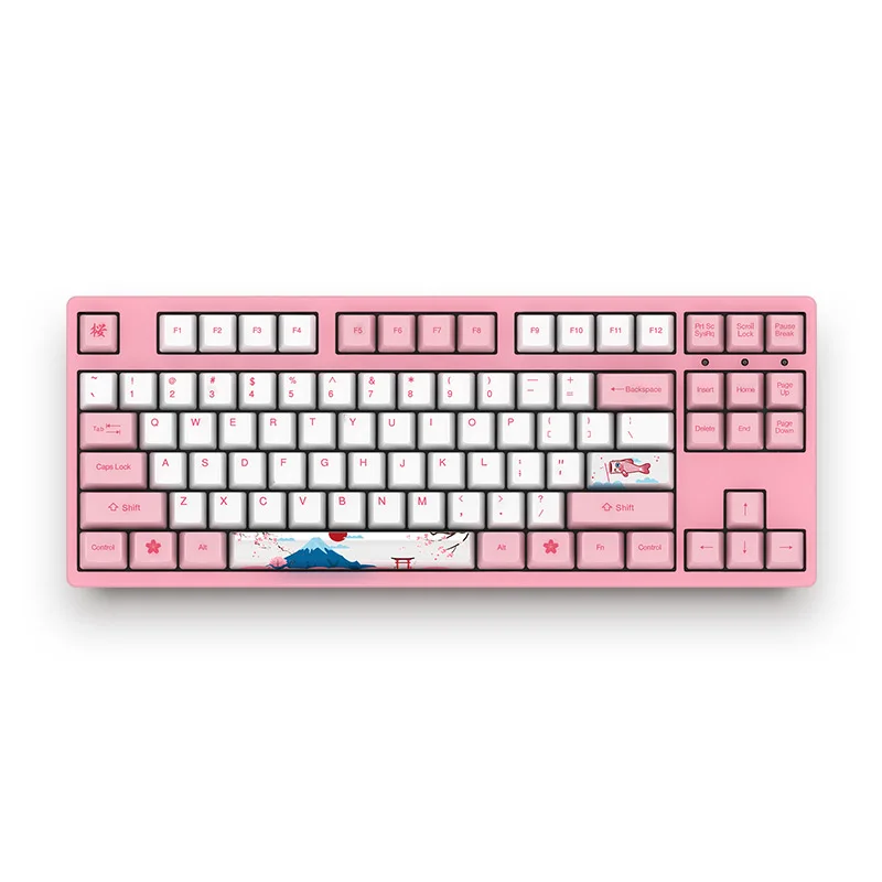 Akko 3087 World Tour-Tokyo 87 Keys Keyboard USB Wired PBT Keycaps Mechanical Gaming Keyboard for PC Laptop