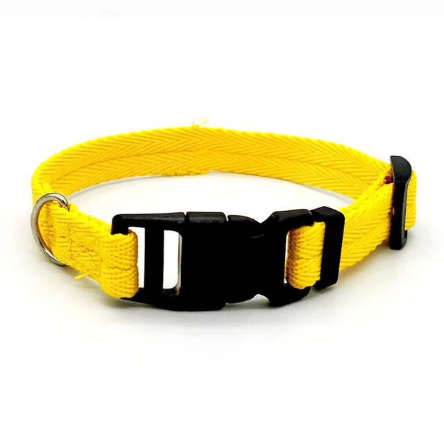Nylon Webbing Dog Collar Fashion Buckle Pet Collar for Small Medium Dogs Chihuahua Dog Red Black Blue Orange Pet Accessory 2