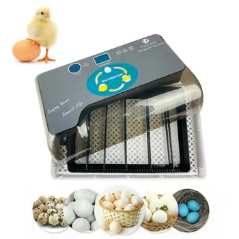

Newest Farm Hatchery Incubator Brooder Machine 4-35 Egg Hatchers Cheap Price Chicken Automatic Eggs Incubator Bird Quail Brooder