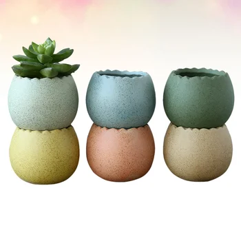 

6 Pcs Cracked Eggshell Stylish Fleshy Pots Mini Flower Pots for Outdoor