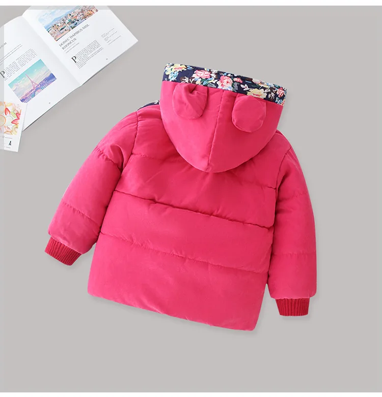 12142130361_1147503442