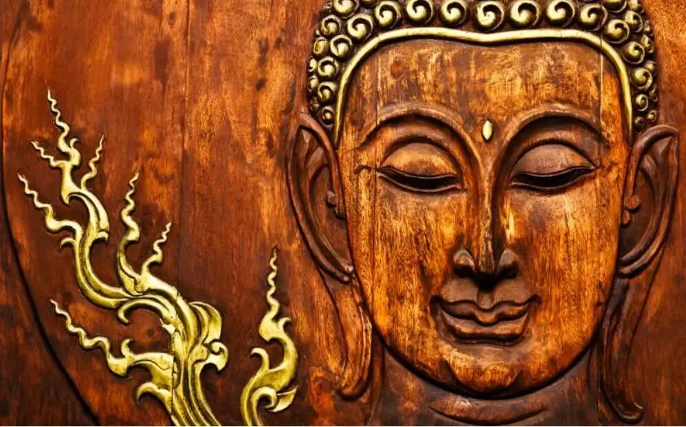 de lótus, decoração de parede, fundo