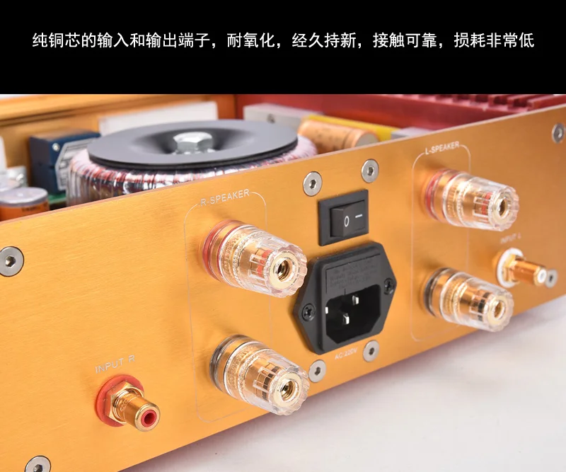 Усилитель мощности WEILIANG AUDIO A100 класса A Hood 1969