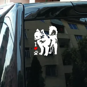 

Chihuahua Waterproof Car Stickers Motorcycle Stickers Decals Reflective Type Funny Cute Car Stickers for Cars High Quality
