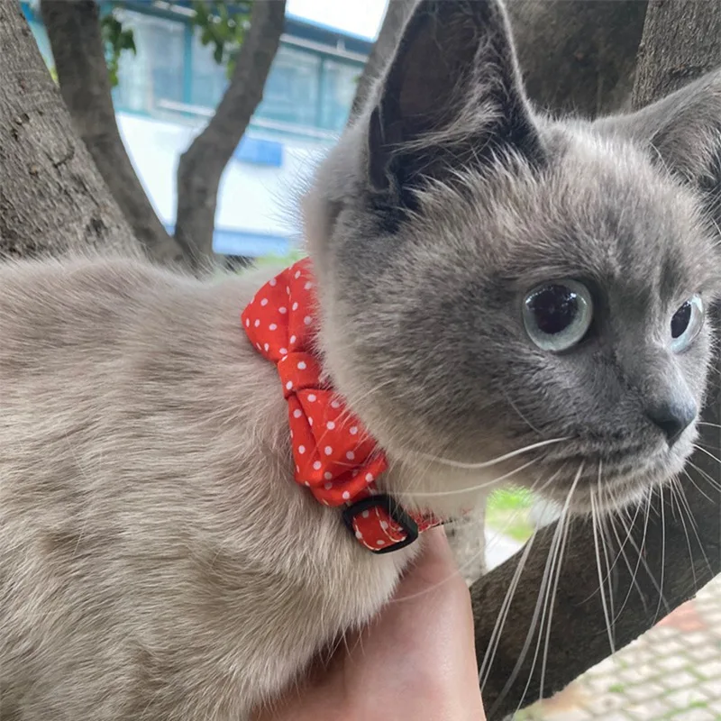 Pet Cat Supplies Cat Collar With Bell Wave Point Bow Collar Cat Pet Supplies Cat Accessories Collar Small Dog Chihuahua Pet Cat Supplies Cat Collar With Bell Wave Point Bow Collar Cat Pet Supplies Cat Accessories Collar Small Dog Chihuahua
