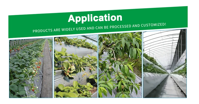 QQ图片20191216165709