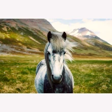 GATYZTORY 5D алмазная живопись Полная площадь DIY домашний декор мозаика Стразы Картина на холсте с логотипом на заказ Настенная картина серая широкая лошадь