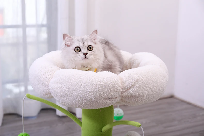 arranhador para gatos torre árvore com modelos para animais de modelos para escalar