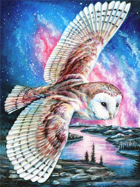 5D Diamond Painting Owl Full Drill Square Diamond Art Embroidery Animal Cross Stitch Home Decoration