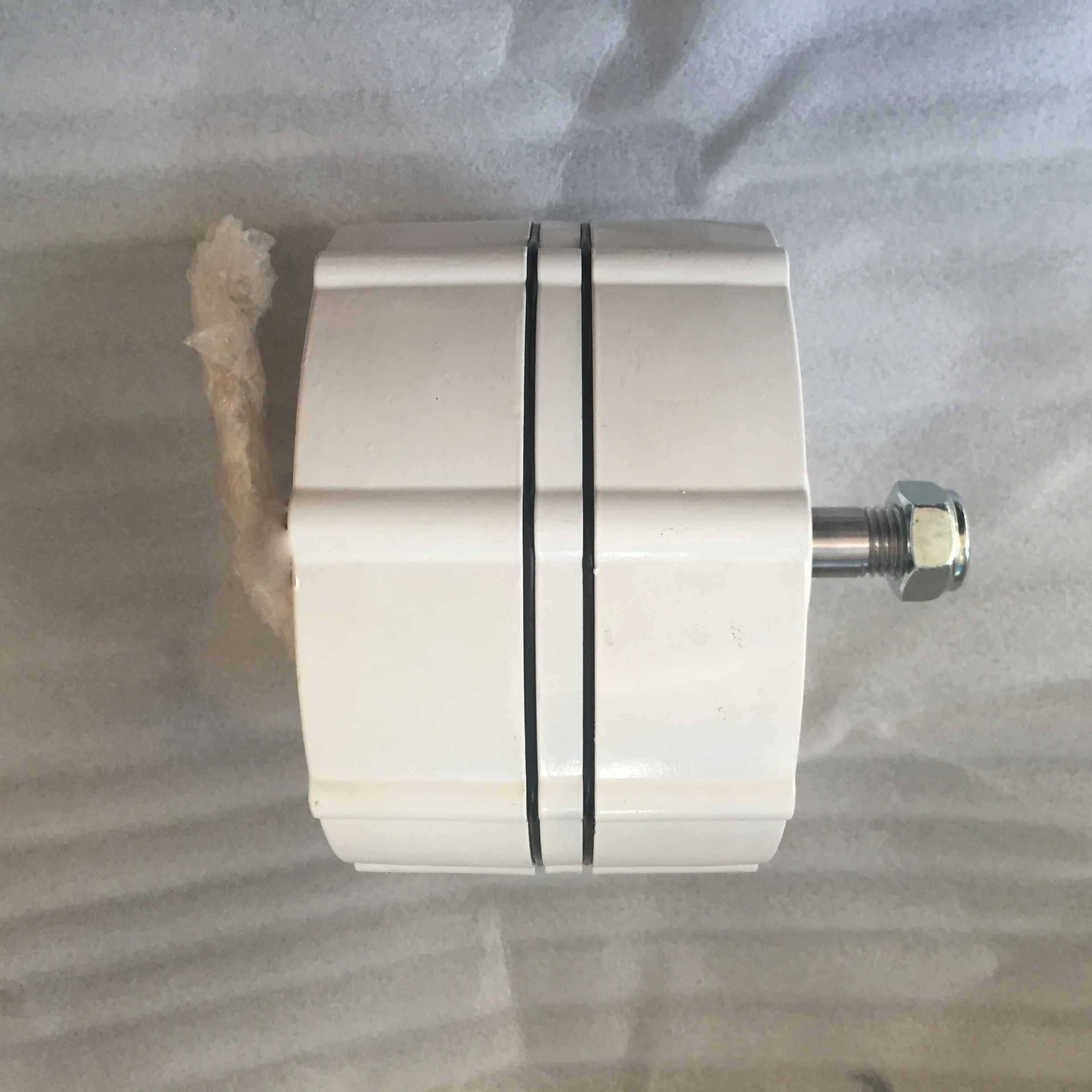 Brushless AC Generator Permanent Magnetic PMG For Horizontal or Vertical Wind Turbine 24V 48V