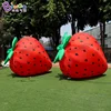 Customized 2.5M Length Inflatable Strawberry Model For Event / Giant fruit Balloons For Yard Decoration - BG-Z0226 1