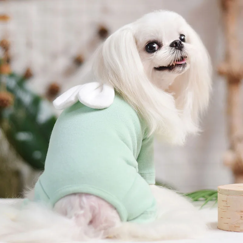 Каплеушащий кролик четырехногий трансформация новейшая Одежда для питомцев миниатюрная Одежда для собак на осень и зиму одежда для домашних животных