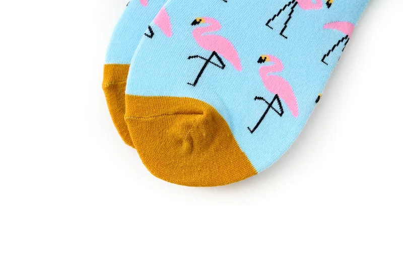 10903879904_961097106