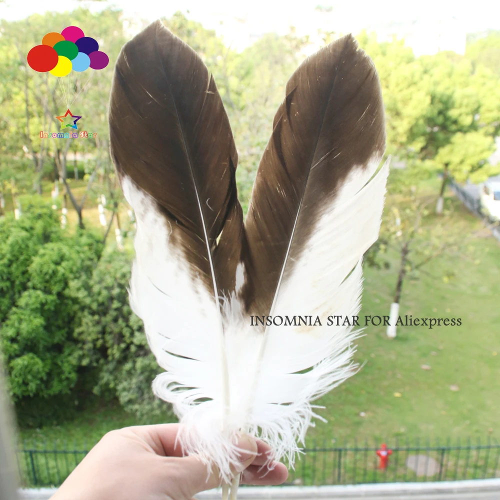 

2 pcs Natural Super rare feathers12-14 inch/30-35cm Diy Carnival headress mask