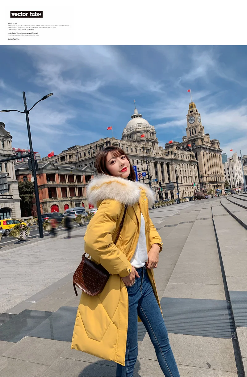 11535081432_822615558