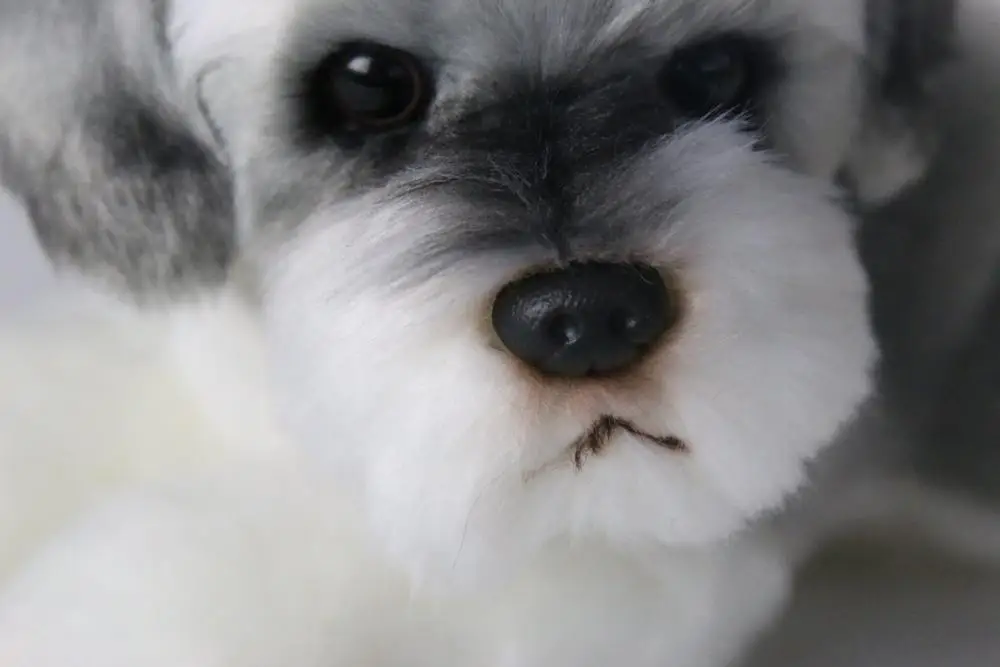 Плюшевая игрушка Schnauzer, имитация собаки, для маленьких девочек и мальчиков, мягкая игрушка, мультяшная собака, животные, кукла, детская комната, Декор, подарок на день рождения