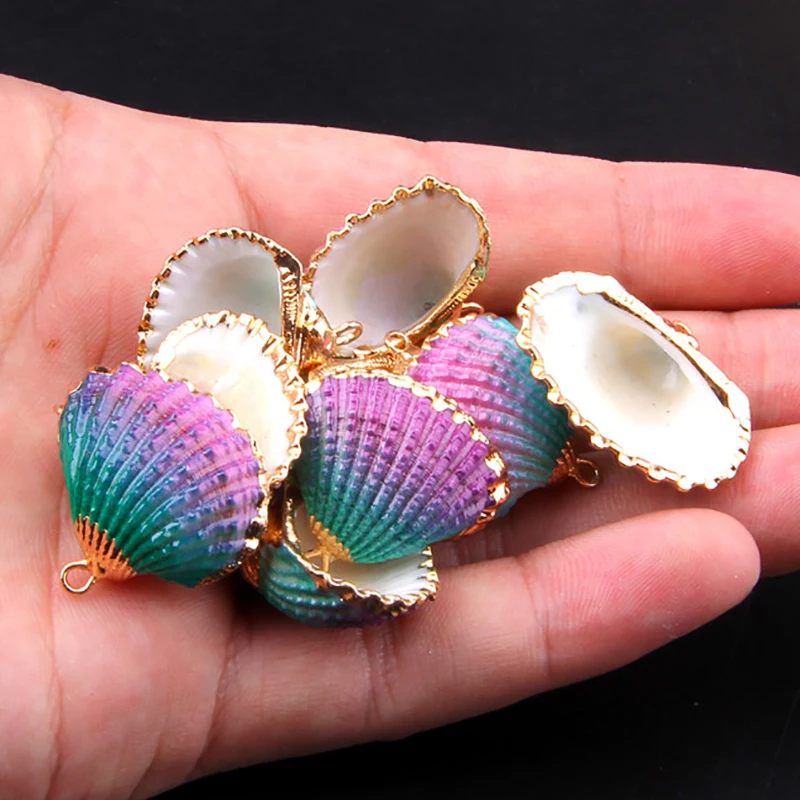 3pcs 28.9 *25.8 mm Rainbow Shell Loose 