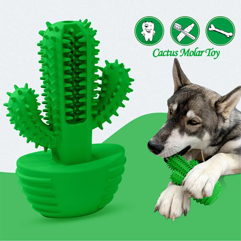 

Pet supplies pet dog cactus multifunctional molar cleaning stick bite clean teeth chewable chew vocal dog toothbrush toy