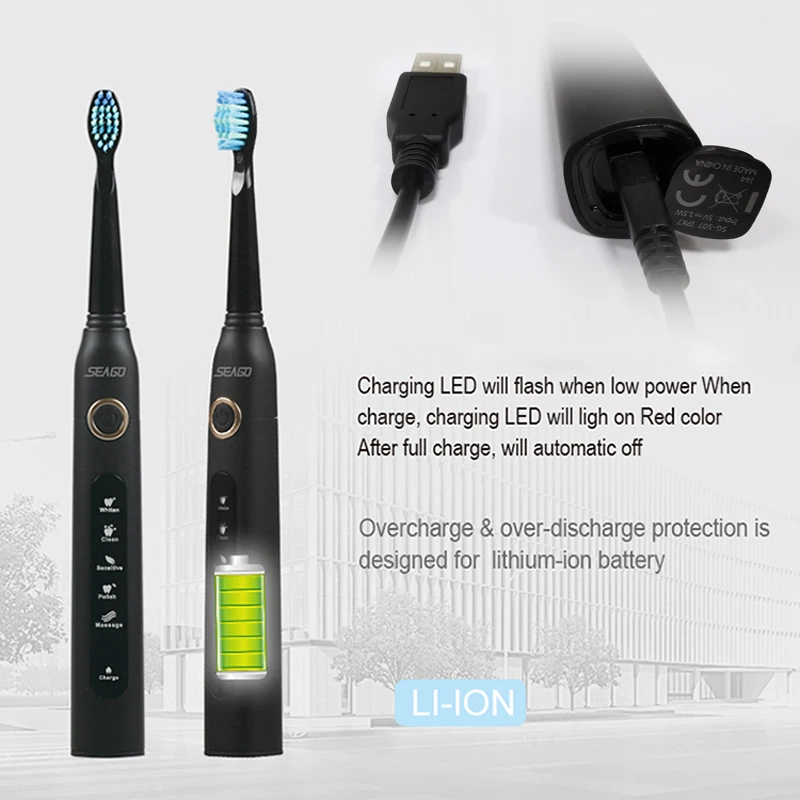 Seago SG507B Electric Toothbrushes Sonic Automatic Adult Timer Brush USB Rechargeable Electric Tooth Brush Waterproof Gift Box