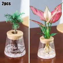 

2PCS Automatic Absorption Clear Flower Pot For No Soil To Grow High Elastic Soft Stopper Small Potted Plants Garden Supplies