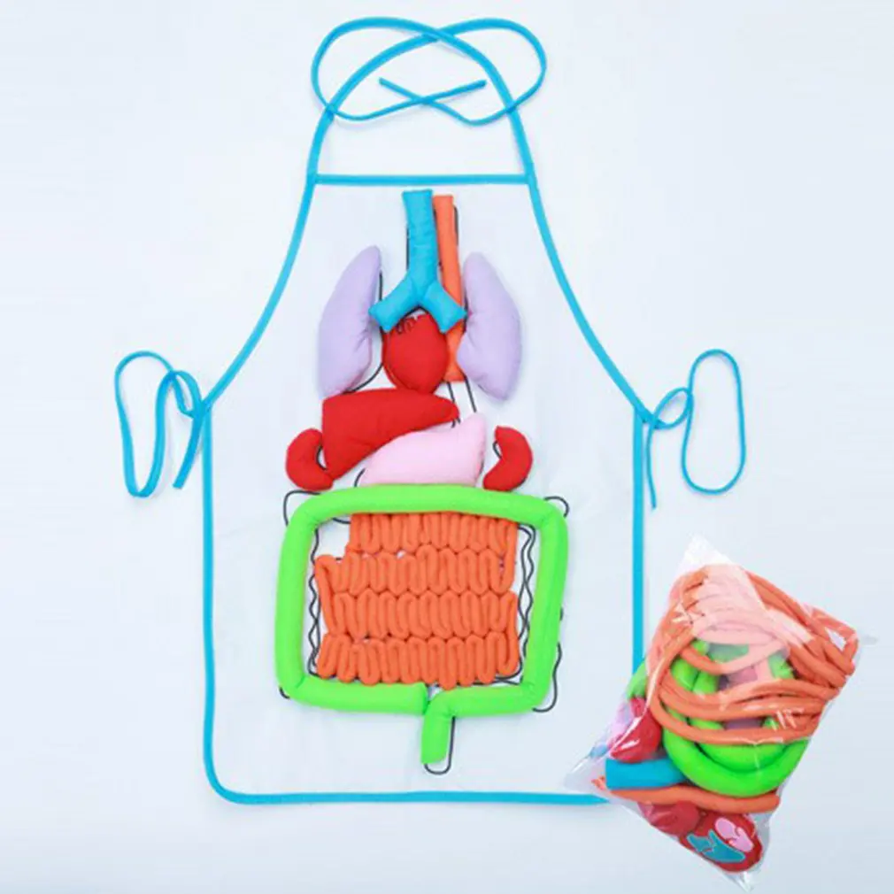  Human Internal Organs Teaching Apron Baby Early Education Apron Puzzle Apron Organ Apron Body Stere - 4000545530719