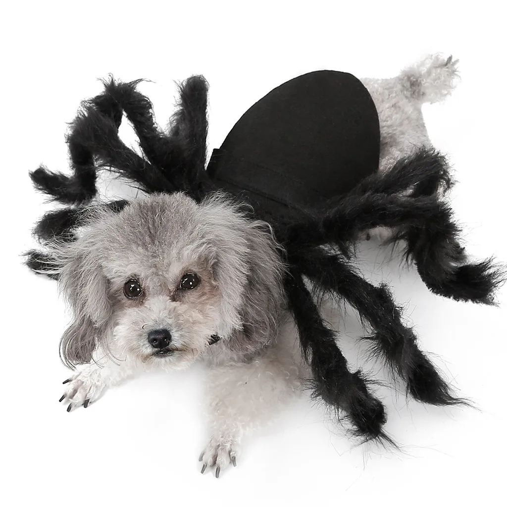 Одежда с принтом крыльев для щенков кошек на Хэллоуин, костюмы для собак, милое платье, паук летучая мышь, ролевые игры, наряды