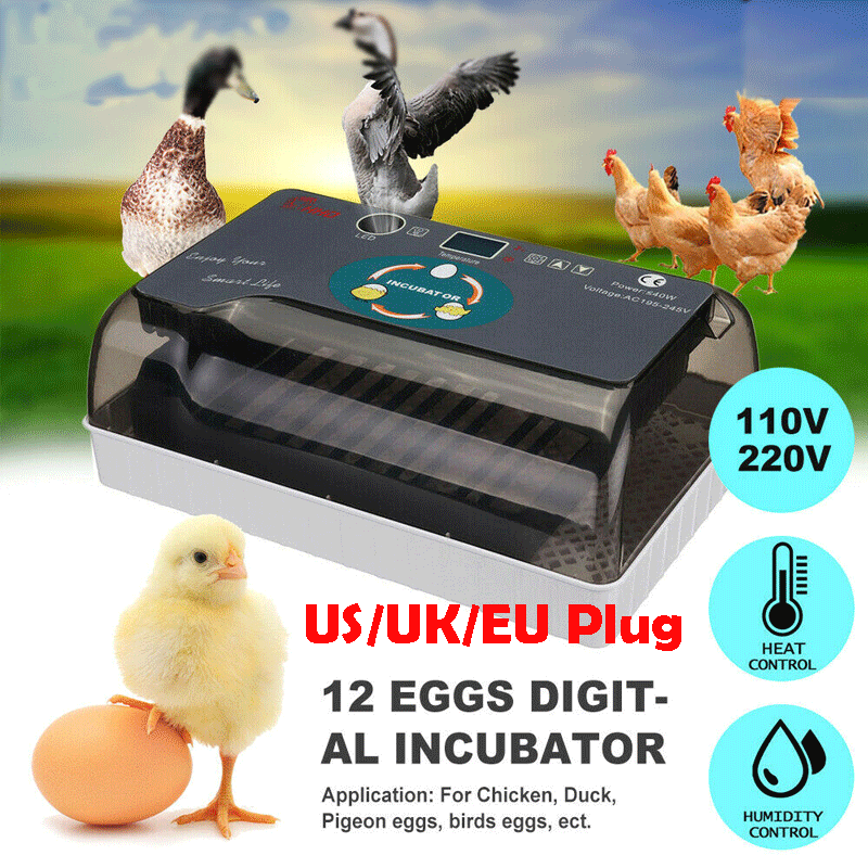 4-35Eggs инкубатор светодиодный полностью автоматический поворот курица птицы яйцо уток инкубатор 12 Небольших Автоматических инкубаторов