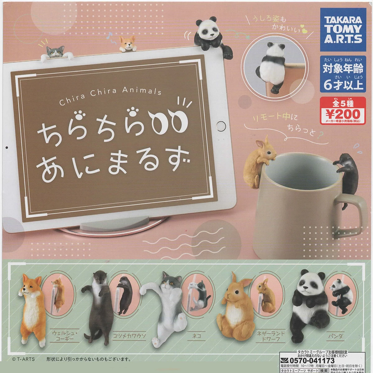 Capsula Genuina Gashapon Toys Cute Kawaii Chira Chira Animals Corgi Otter Cat Bunny Panda Hang On The Cups Figure Di Vetro