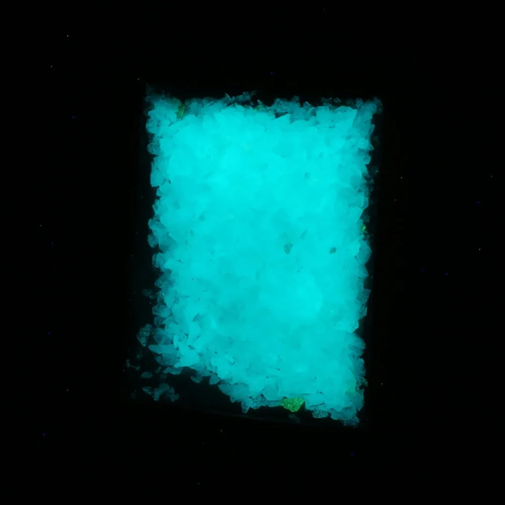 437051_1ac2c07f56d04f67982e83caa2984900