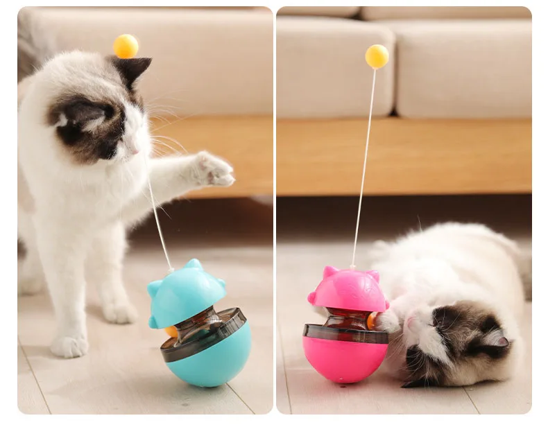 14217122135_1950391245