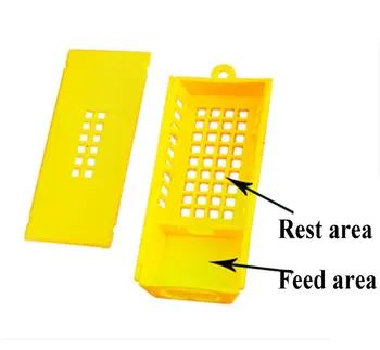 

200PCS Transport Carrier Move Cages Plastic New King Prisoner Bees Transit Queen Post Mail Cell Cage Tools Reaing Beekeeping