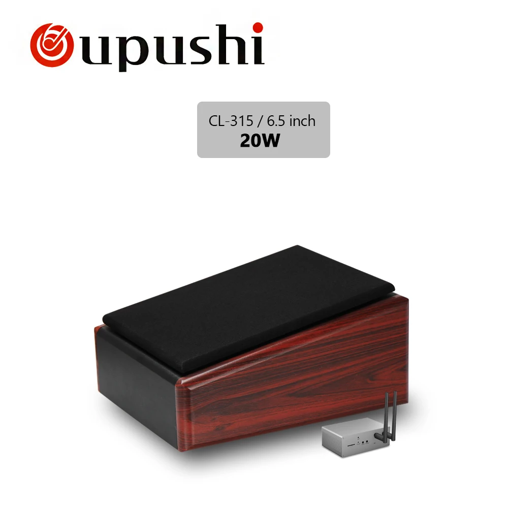 Oupushi CL314 Беспроводная фоновая музыкальная система Поддержка Bluetooth через мобильный телефон настенный динамик - Цвет: CL315  20W