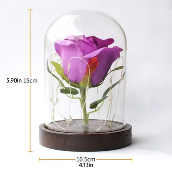 

Rose Flower in Glass Bottle Eternal Flower Glass Cover Mother's Day Gold Leaf Rose Transparent Night Light Gift