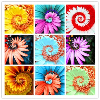 

30 Pcs Rare Daisy Flower