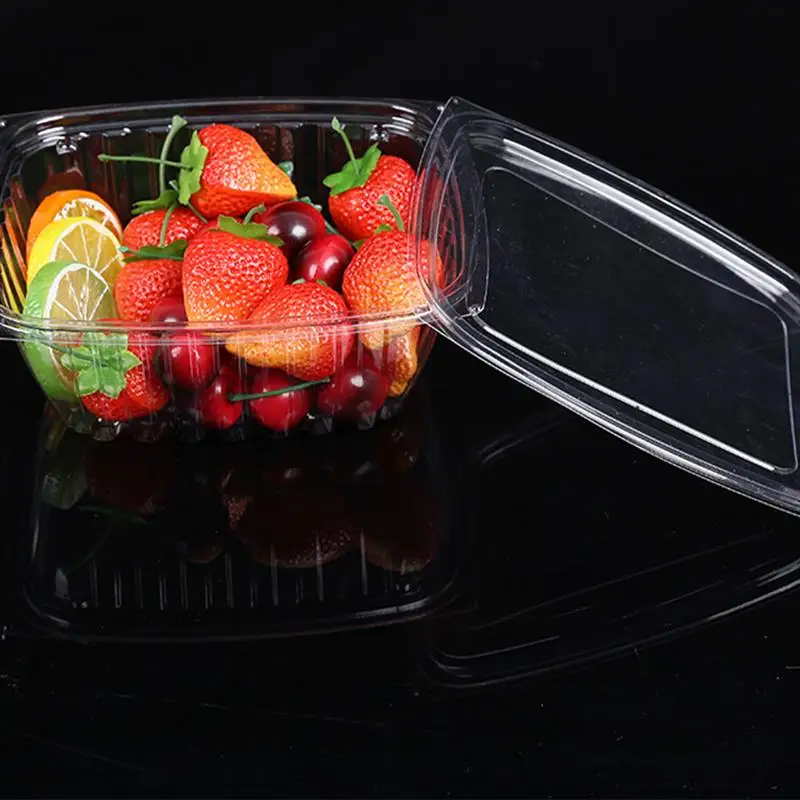 20PCS Disposable Box Fruit storage Transparent Rectangle Salad Rice Packing Container Take Out Box Food Sealed Storage Container