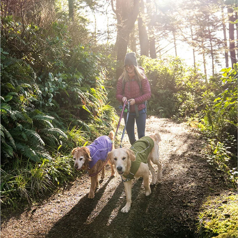 dog coat harness combo