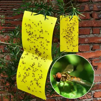

1pcs Yellow Pest Control Strong Flies Traps Bedbugs Thrip 2019 Mover White Catching Insects Aphid Sticky Fly Fruit Killer B F9X9