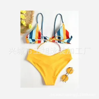 

New 2009 Bikini Bikini with Sexy Coloured Stripes and Fresh Bikini Suspension Ribbons for European and American Ladies