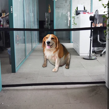 

Portable Pet Isolation Gate Oxford Mesh Folding Dog Door Barrier Adjustable Car Pet Fence Breathable Home Cat Safety Protection