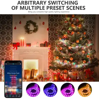 

2021 New RGB Strip Light String Light Christmas Tree Decoration Lights Custom LED String Lights, App Remote Control Light Color