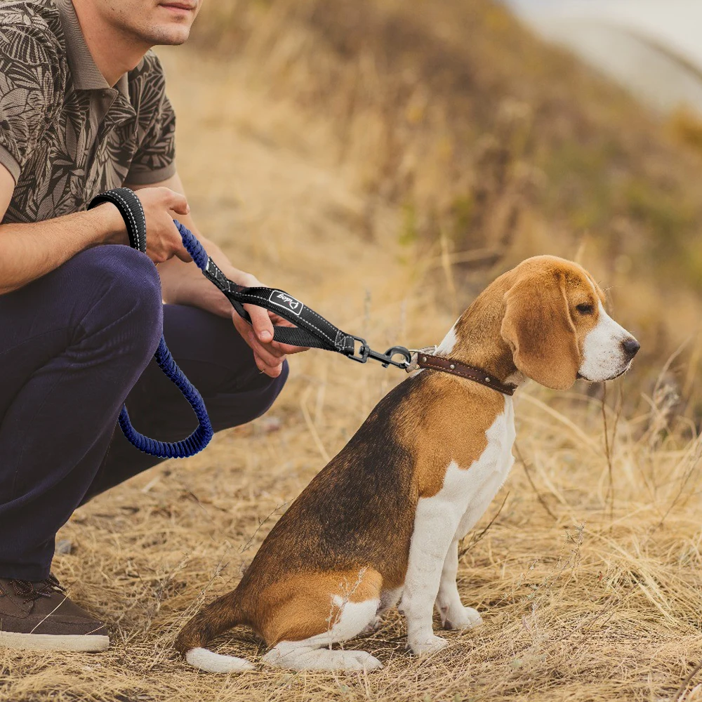 Reflective Pet Dog Leash Nylon Leash Rope For Small Medium Large Dogs Pet Lead Outdoor Walking Leashes Belt Pet Products Pitbull
