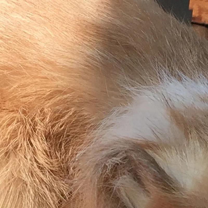 3602398505_2056366852