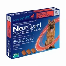 nexgard online cheap