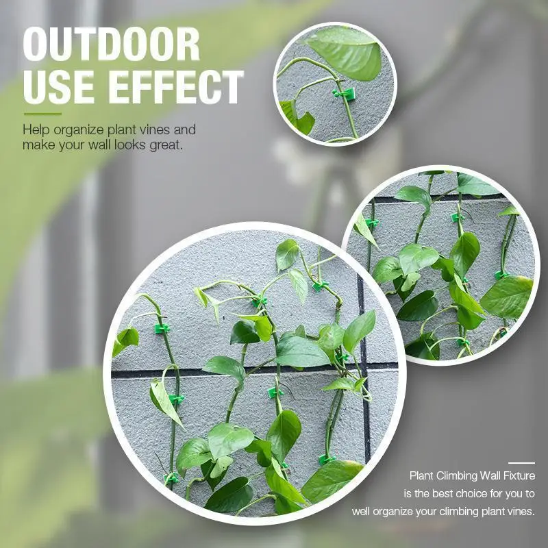 5_c1ffdd5f-5263-492a-ac12-a5739d01debf