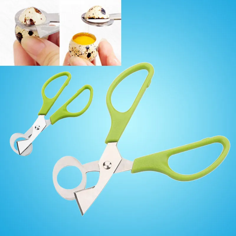 WTX70601482_2017060204022519