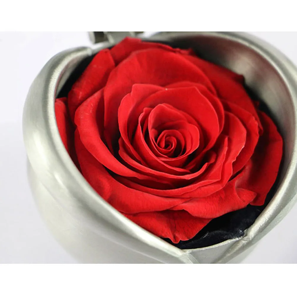 День Святого Валентина сохраненный цветок розы свежий с подарочной коробкой бесмерный изысканный для любви один праздник подарок ручной работы юбилей