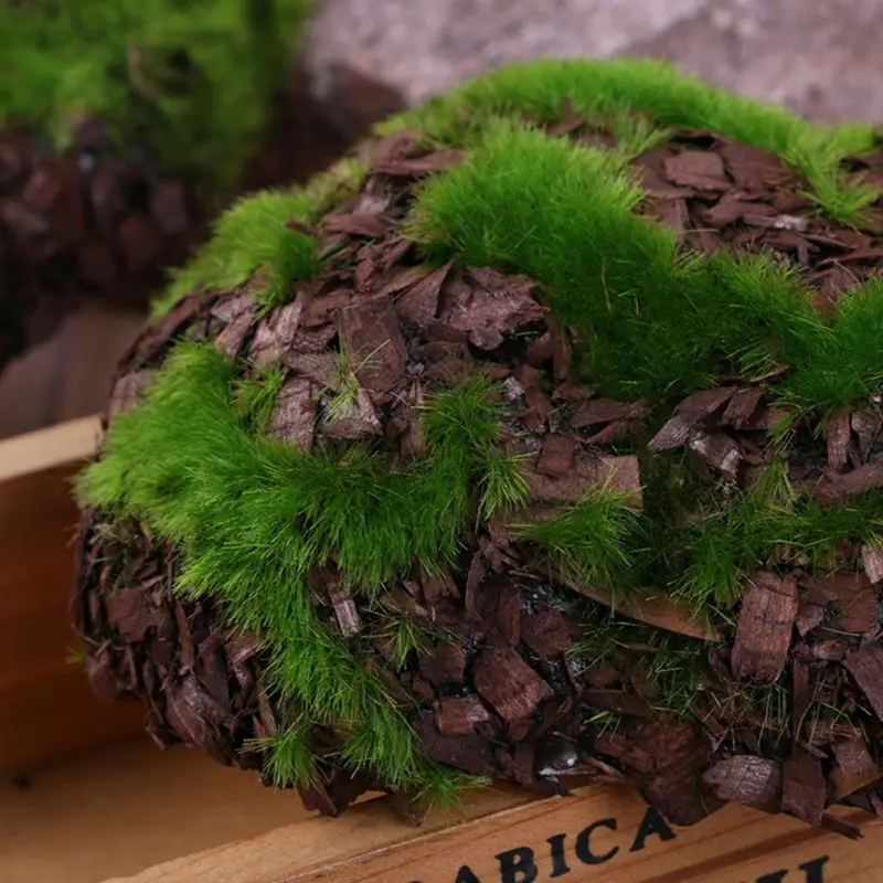 2SS201967-4