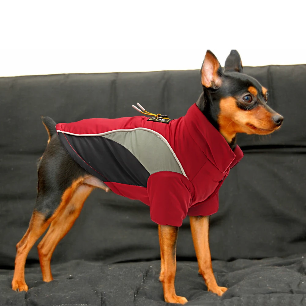 Одежда для собак на французском языке для бульдога чихуахуа, зимняя куртка для питомца щенок йоркширского терьера, жилет, одежда для маленьких и средних собак, XS-XL