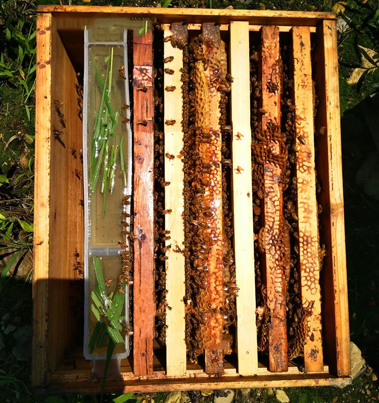 5 шт. кормушка для пчел 0,9 кг кормушка для пчел пчелы Кормление Пчеловодство инструменты для пчеловодства поставки высокой интенсивности пчеловодства оборудование